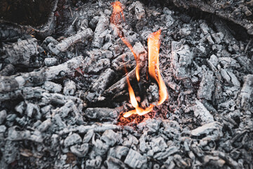 Orange flames of burning charcoals outdoors, hot coals remnants on the ground, process of burning wood in nature
