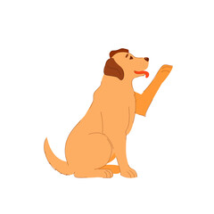 dog labrador retrieve sits and gives a front paw. cute dog smiles and obeys commands. training a labrador. a puppy from a shelter asks to go home and playing. red-haired beige animal. 