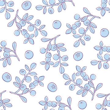 Vector seamless pattern with the image of blueberries on a white background.
