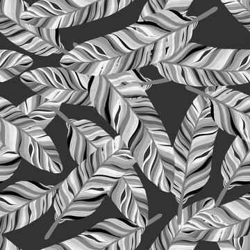 Vector Seamless pattern of Feather in black, white and light gray tone on dark grey background, Hand drawn of Bird,duck or chicken feather pattern for fabric, textile and wall paper
