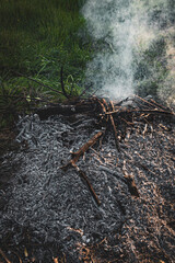 Extinguishing bonfire with rising smoke in air, pile of burnt dry tree branches in the field. Deforestation and air pollution concept