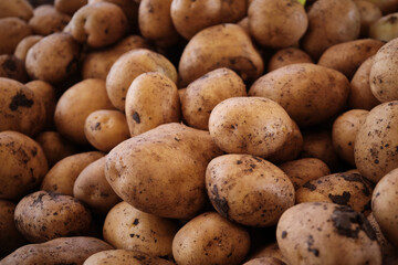 Potatoes heap at country vegetable market.