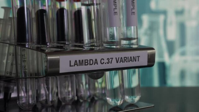 Lambda C37 Variant Test Tube Samples Being Inserted Into Rack. Locked Off, Close Up