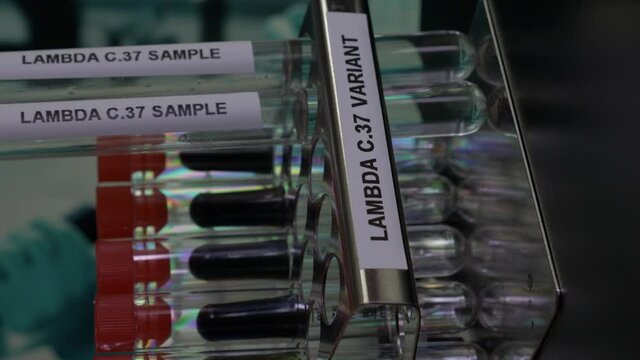 Lambda C37 Variant Test Tube Samples Being Inserted Into Rack. Vertical Video, Locked Off
