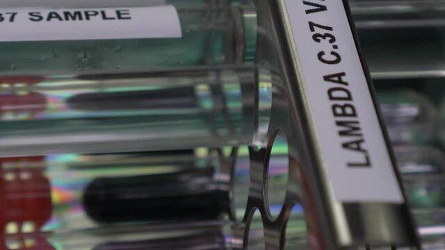 Lambda C37 Variant Test Tube Samples Being Inserted Into Rack. Vertical Video, Pan Up, Close Up