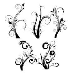 Obraz premium Vintage baroque frame scroll ornament engraving border floral retro pattern antique style acanthus foliage swirl decorative design element filigree calligraphy vector