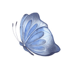 Watercolor illustration with a bright blue butterfly, abstract summer butterfly, isolated element on a white background. Illustration for postcards, posters, fabrics, decoration.