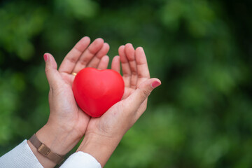 an adult holding a red heart health care Family donation and insurance concept World Heart Day World Health Day Responsibility CSR Foster family Adoption Hope Gratitude Type Concept