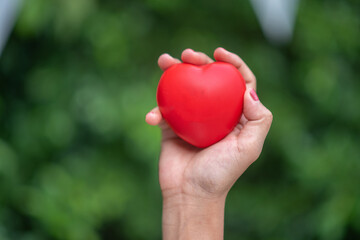 an adult holding a red heart health care Family donation and insurance concept World Heart Day World Health Day Responsibility CSR Foster family Adoption Hope Gratitude Type Concept