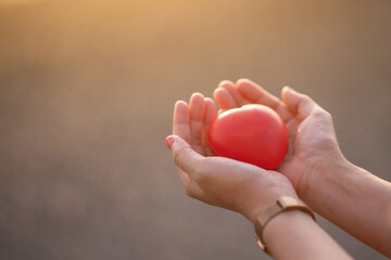 an adult holding a red heart health care Family donation and insurance concept World Heart Day World Health Day Responsibility CSR Foster family Adoption Hope Gratitude Type Concept