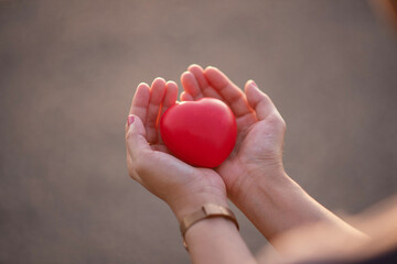 an adult holding a red heart health care Family donation and insurance concept World Heart Day World Health Day Responsibility CSR Foster family Adoption Hope Gratitude Type Concept
