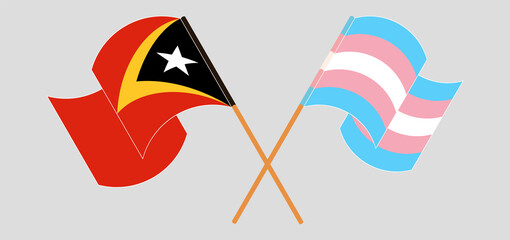 Crossed and waving flags of East Timor and Transgender Pride