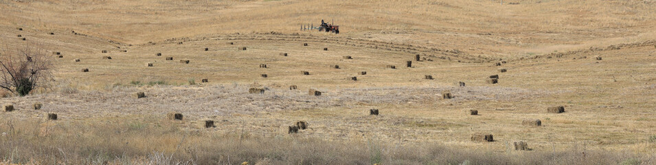 Naklejka na ściany i meble old tractor in a wheat field