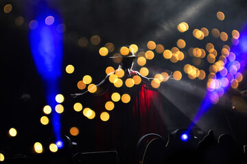 Summer festival concert crowd lights
