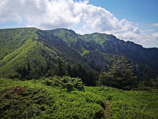 Fototapeta premium Summer landscape in the mountains. Beautiful day for hiking