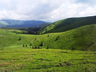 Fototapeta premium Summer landscape in the mountains. Beautiful day for hiking
