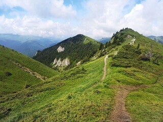 Fototapeta premium Summer landscape in the mountains. Beautiful day for hiking