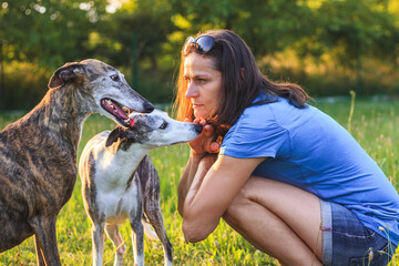 Woman and her greyhounds. Enjoyment of spending time with dogs outdoors in summer. Pet owner...