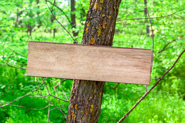 plaque for text on the tree
