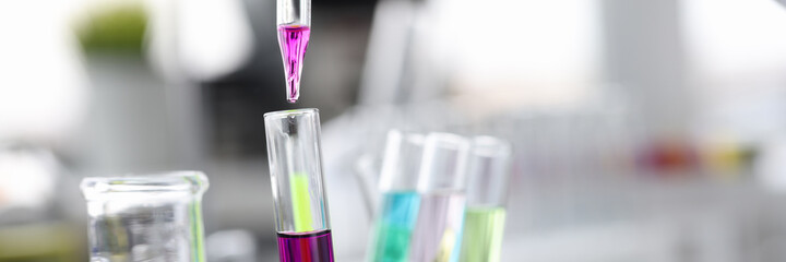 Scientist dropping pink liquid with pipette into test tube closeup