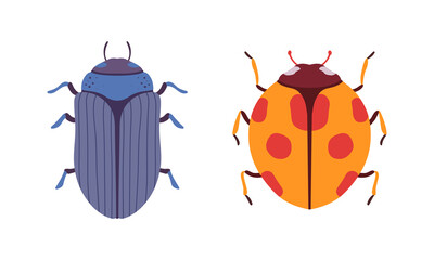 Bug Species Set, Top View of Ladybug and Scarab Beetles Insects Cartoon Vector Illustration