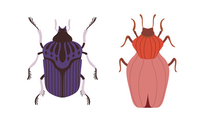 Bug Species Set, Top View of Bugs Cartoon Vector Illustration