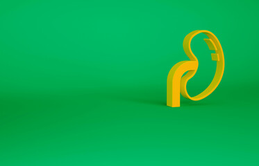 Orange Human kidney icon isolated on green background. Minimalism concept. 3d illustration 3D render