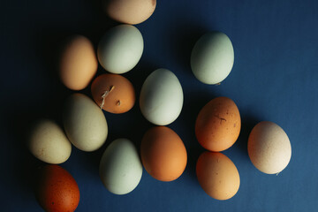Cage free organic eggs from farm on blue background.