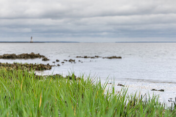 Tybee Island landscape water view with marsh
