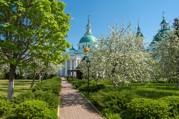 Flowering trees in the Spaso-Yakovlevsky Monastery in the city of Rostov, Yaroslavl region.