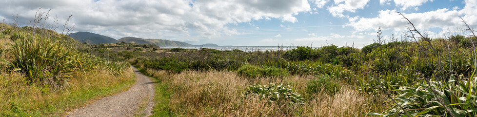 Beautiful coast at Queen Elisabeth Park, New Zealand