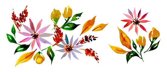 flowers isolated on white