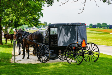 Fototapeta na wymiar Amish Horses and Buggies