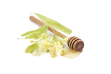 Honey dipper with linden flowers isolated on white background. Honey stick