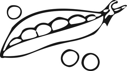 Modern icon peas line symbol. Vector white background illustration