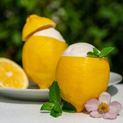 Homemade lemons filled with lemon sorbet.