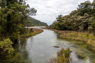 River flowing into the Pacific ocean at Abel Tasman National Park