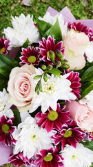 pale pink white and burgundy flowers in 1 bouquet. chrysanthemums, roses and daisies together