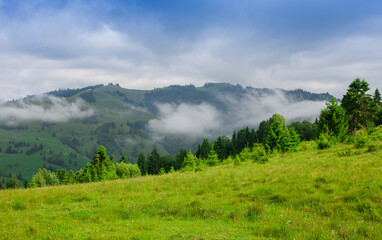 Fototapeta na wymiar Stanisoarei mountains in Romania, summer landscape after rain