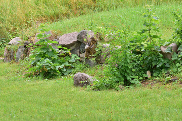 Stones and overgrown stairs among the grass. Summer. Day.