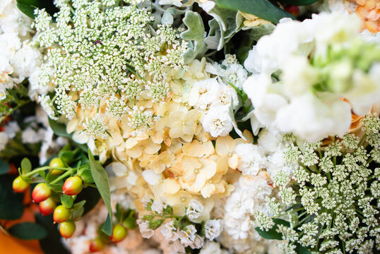 Beautiful floral background, assorted white and beige flowers, bouquer of roses and hydrangeas