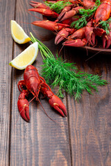 Red crayfishes on a plate served with dill and lemon, on dark wooden background, vertical, copy space