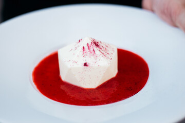 octoshaped cheesecake with raspberry jam