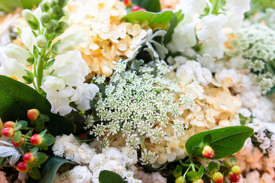 Beautiful floral background, assorted white and beige flowers, bouquer of roses and hydrangeas