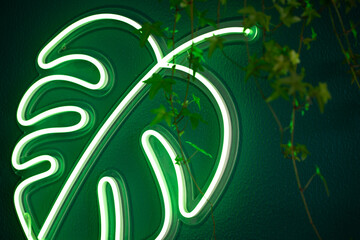Neon light tropical green monstera leaf on a wall from bio store restaurant and coffee shop. Trendy style. Neon sign. Custom neon decoration.
