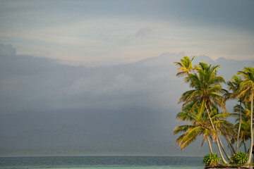 Palm trees with sea water and mountains on background, copy space. Vacation and travel concept 