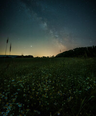 milkyway over the field