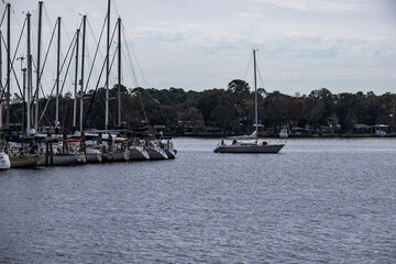 Fototapeta premium Sailing from the Marina