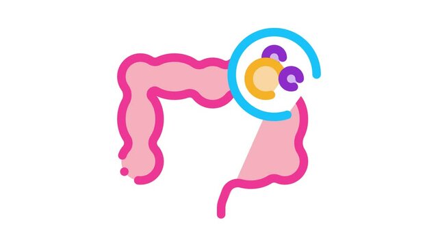 gut in stomach Icon Animation. color gut in stomach animated icon on white background