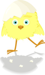 funny yellow chicken with a scarlet on his head